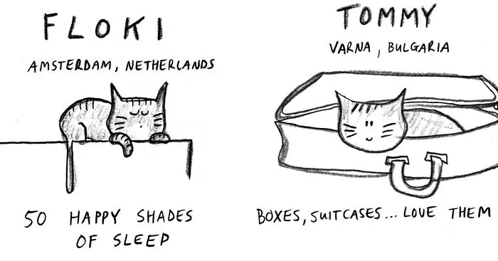 We Draw Cute Illustrations Of People's Cats