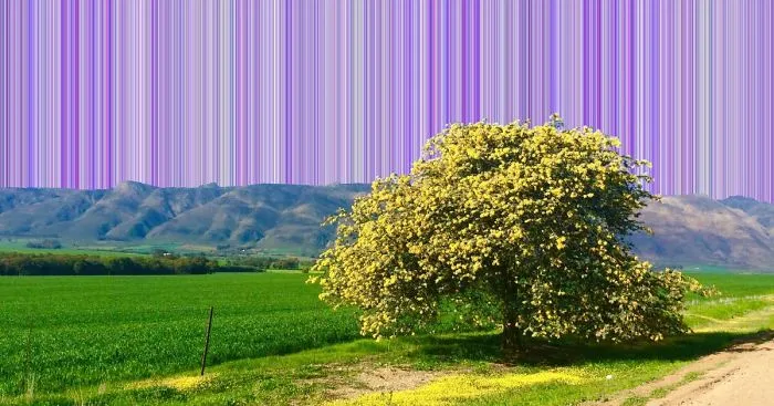 Striated Skies: I Spent 52 Weeks Putting This Project Together