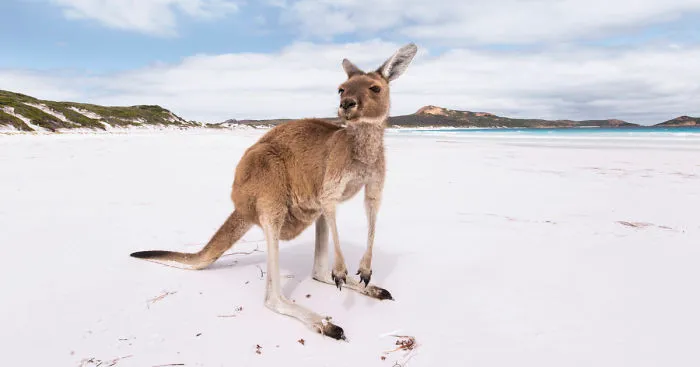 I Photographed 20 Places In Australia Where Anyone Would Love To Get Lost