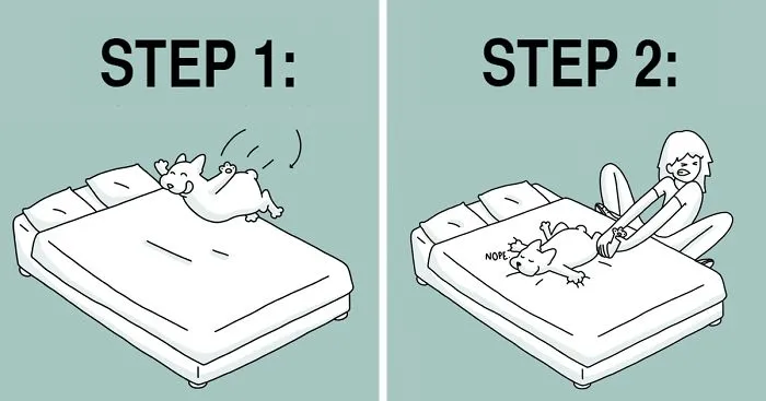 How To Train Your Human In Five Easy Steps