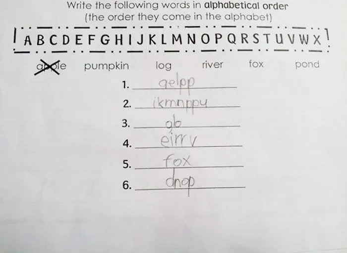 Second Grader's Homework