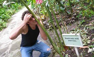 79 People Who Take Instructions Too Literally