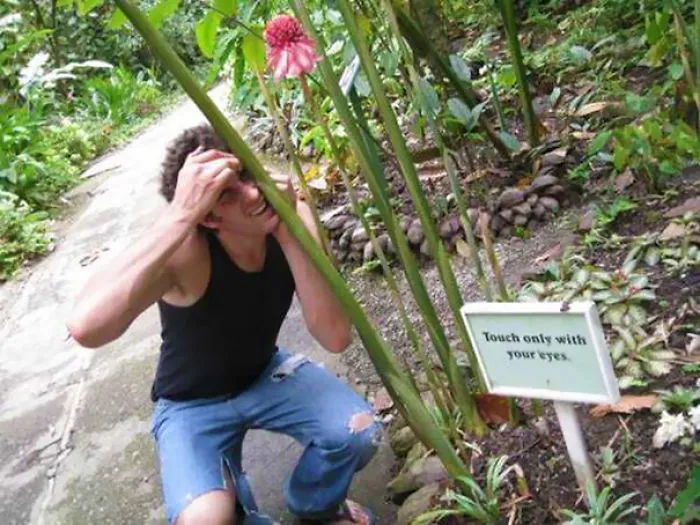 Plant Sign