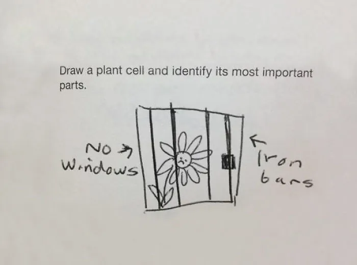 Sure, No Problem!