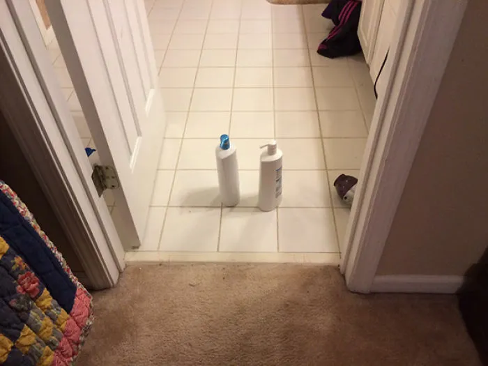 I Did Say To Put These In The Bathroom. There Is Nothing Like Having A Literal 2nd Grader Living In Your House