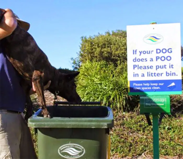 Signs Can Be Confusing