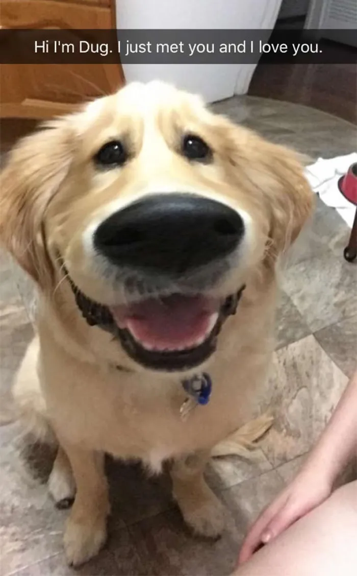 I Just Met You And I Love You