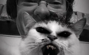 People Are Using Snapchat Filters On Their Animals And The Results Are Funny