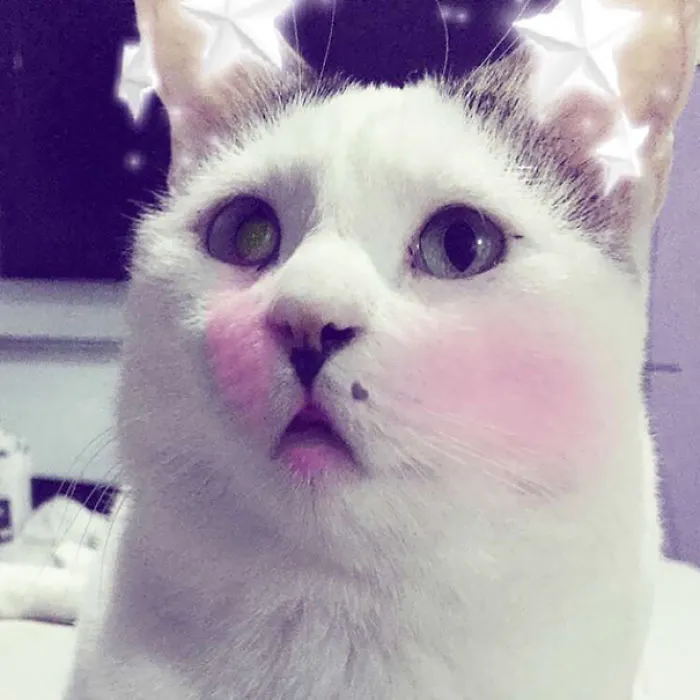 George, You're So Pretty!