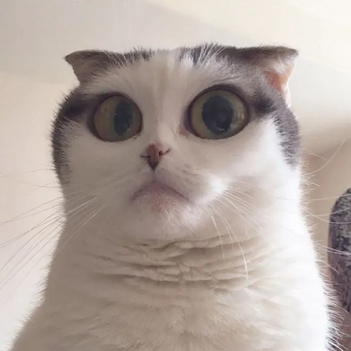 Yes?