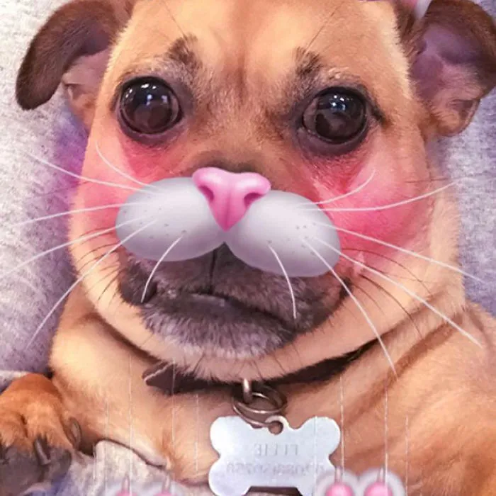 Pretty Ellie
