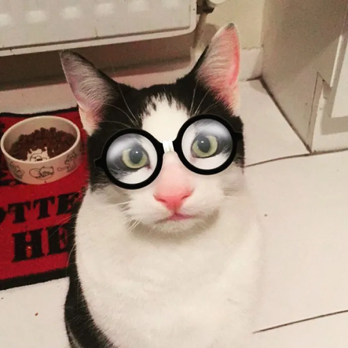 I Can't Stop Doing This To Poor Rufio! It's Too Funny Not To!