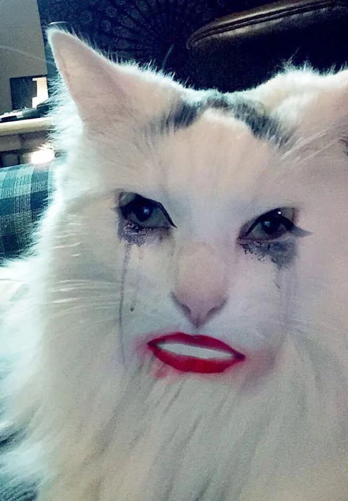 Waking Up The Morning After $3 Thursday's