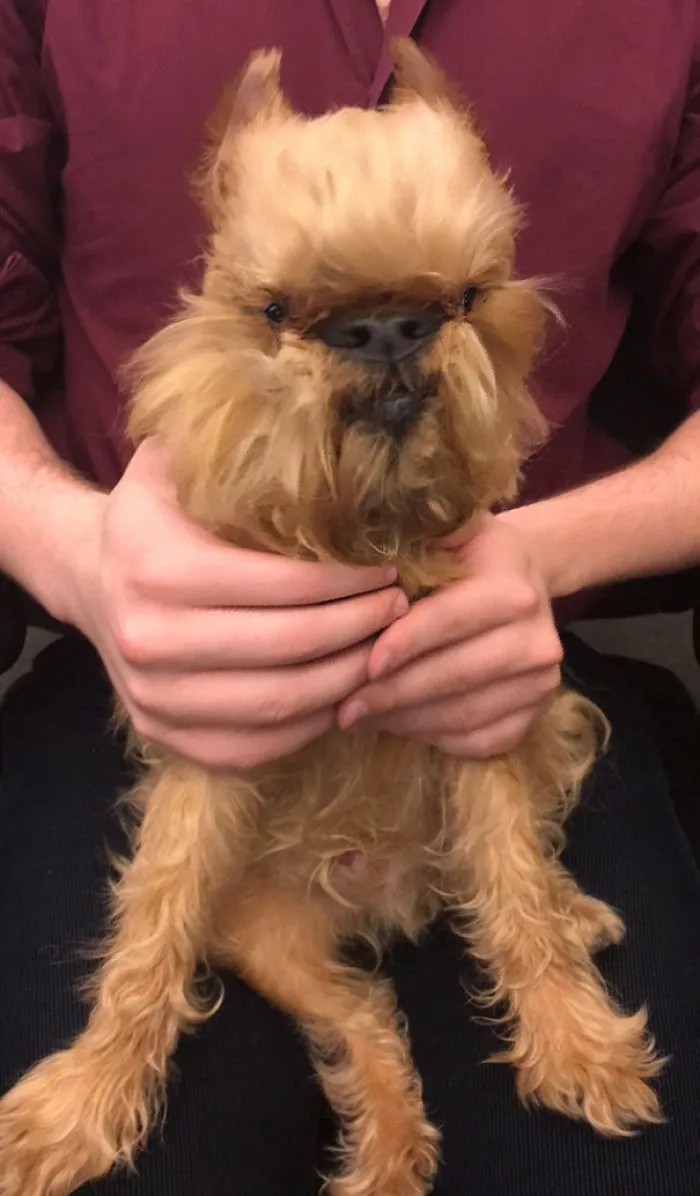 Meet Roy, The Dog?