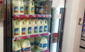 75 Signs That Humanity Is Devolving