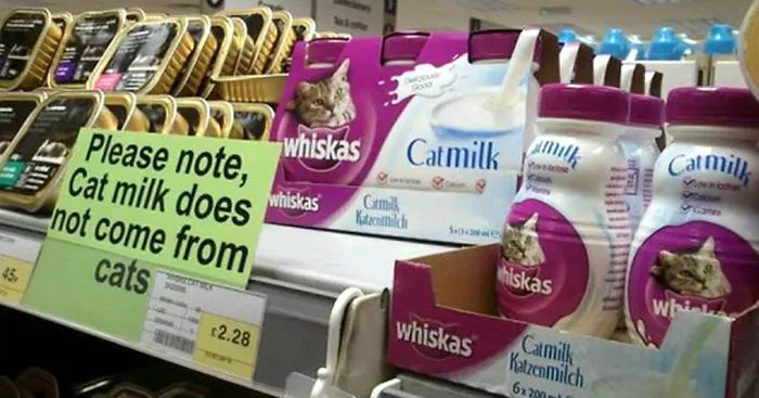 75 Signs That Humanity Is Devolving