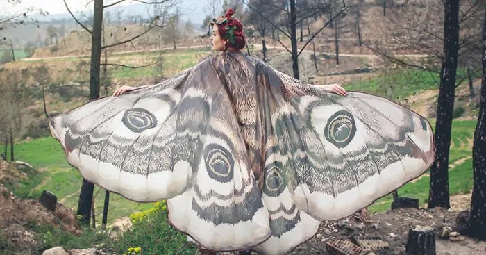 Gorgeous Hand-Drawn Butterfly Scarves Will Give You Wings