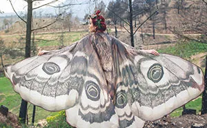 Gorgeous Hand-Drawn Butterfly Scarves Will Give You Wings