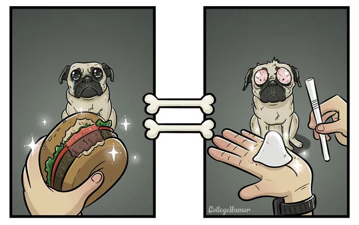 How Dogs See The World In 7 Funny Illustrations