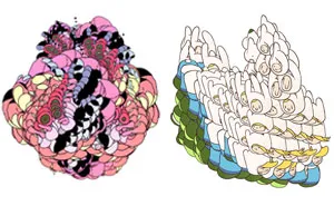 I Draw Each Frame Of My Psychedelic Animations By Hand