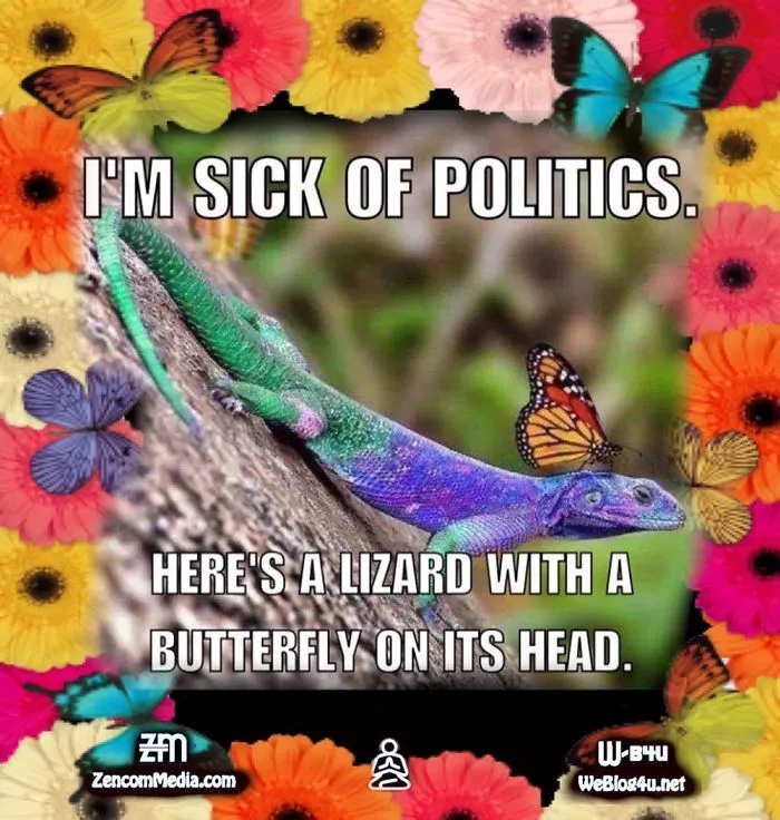 I'm Sick Of Politics