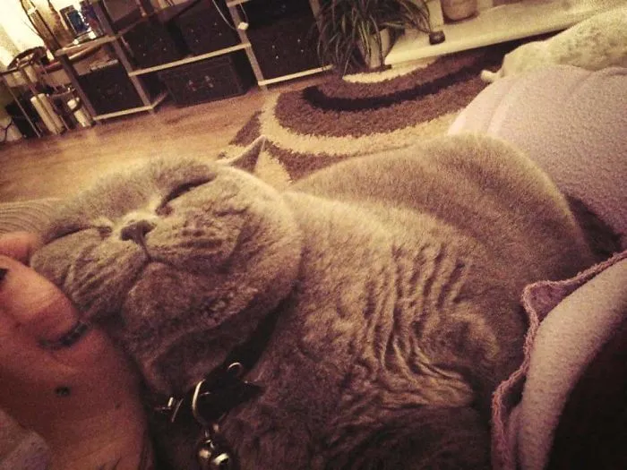 201 Smiling Animals That Will Instantly Make You Smile