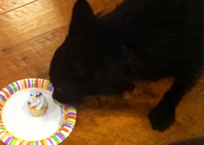 Annie's 3!