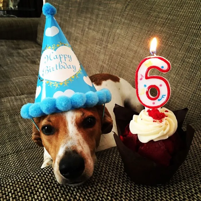 Astro Turned 6!!!