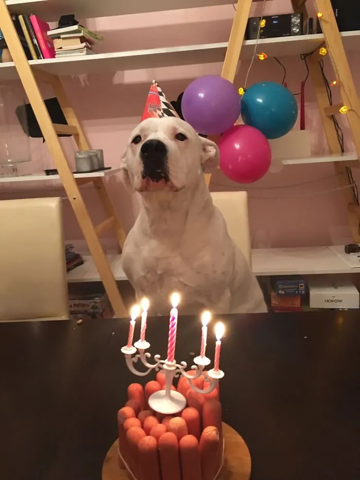 5th Tosia's Birthday.