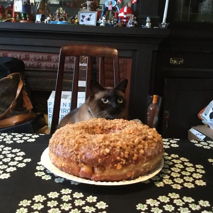 Wally's Birthday Donut