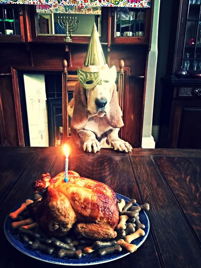 Williams 11th Birthday
