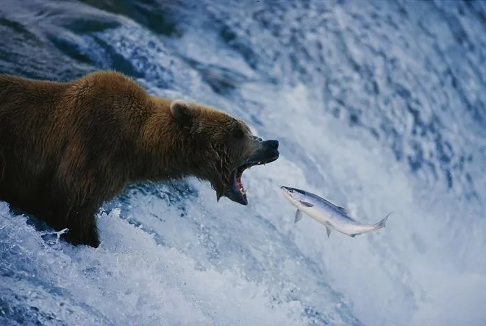 Amazing Photos Taken By National Geographic Photographers