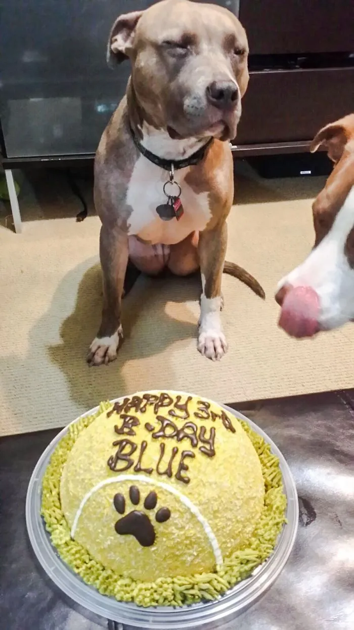 Hurry Up! Make A Wish!