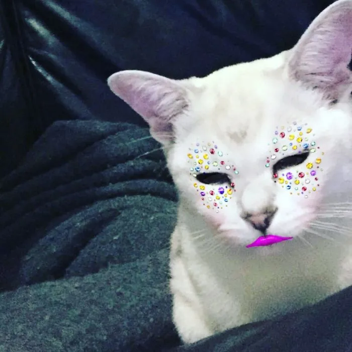 Mister Sparkles