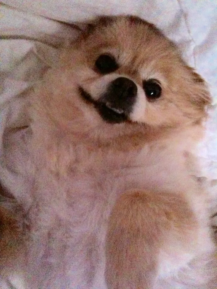 201 Smiling Animals That Will Instantly Make You Smile