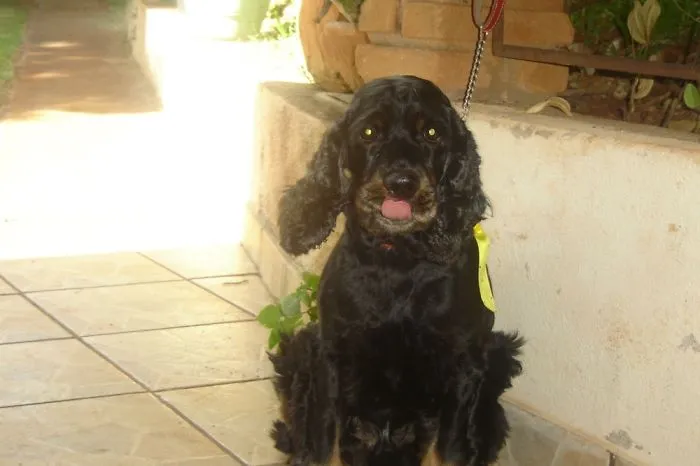 201 Smiling Animals That Will Instantly Make You Smile