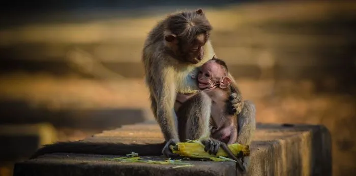 My Sweet Mother ...