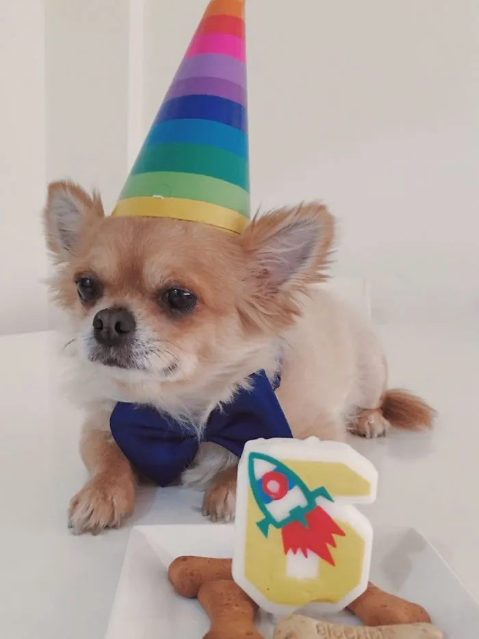 Papi Is 6!