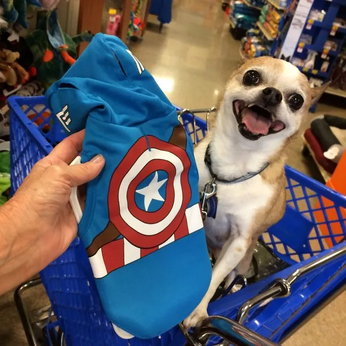 201 Smiling Animals That Will Instantly Make You Smile