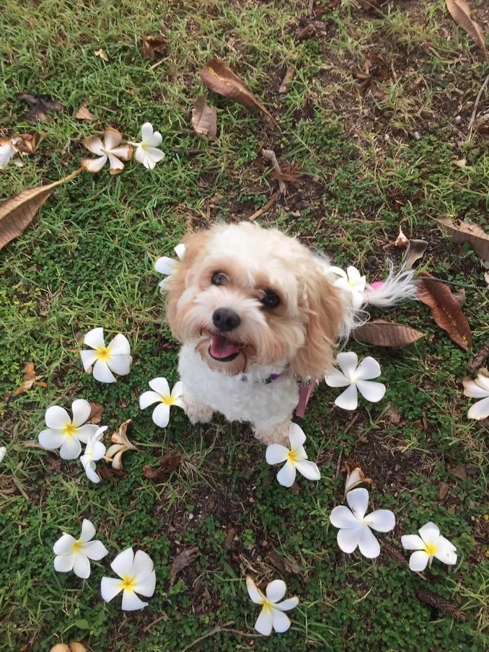 201 Smiling Animals That Will Instantly Make You Smile