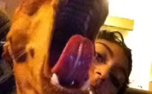 Best Animal Snapchats Ever!