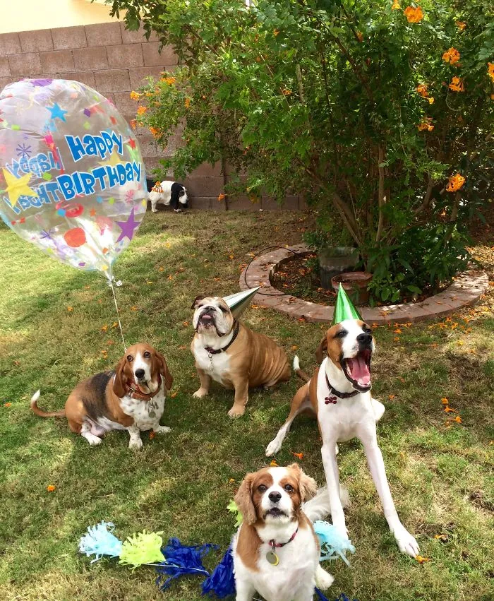 Suprise!!!
