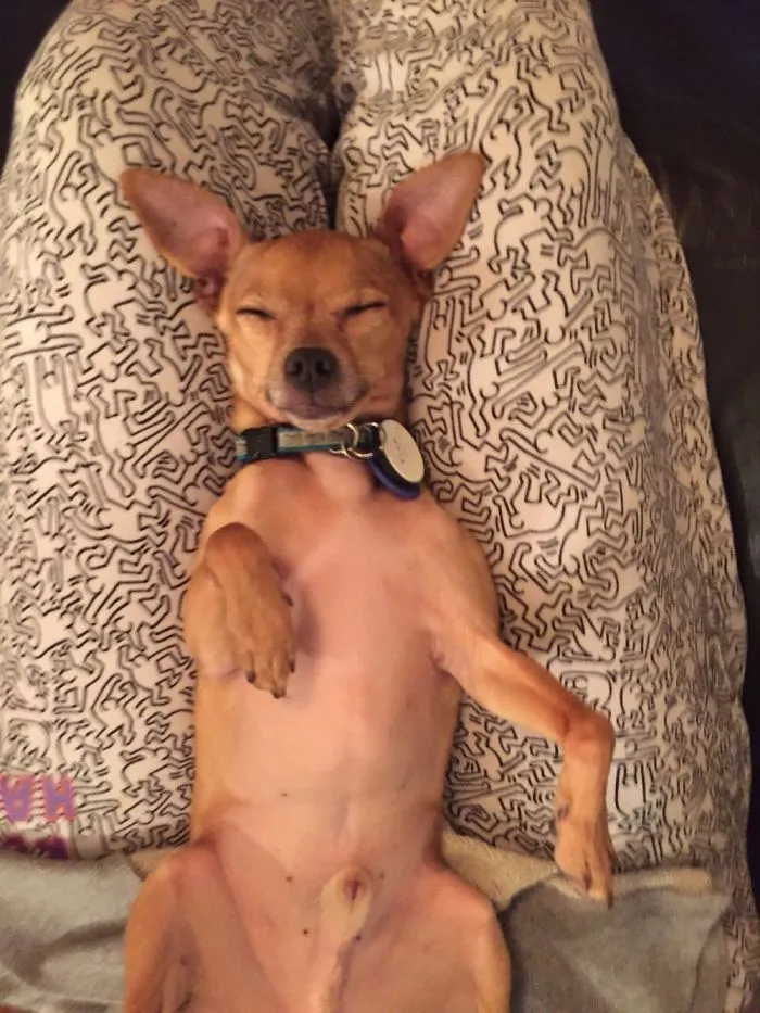 201 Smiling Animals That Will Instantly Make You Smile
