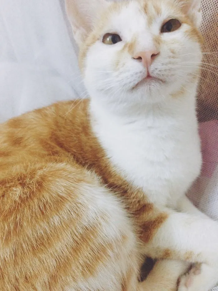 Mocha :x My Best