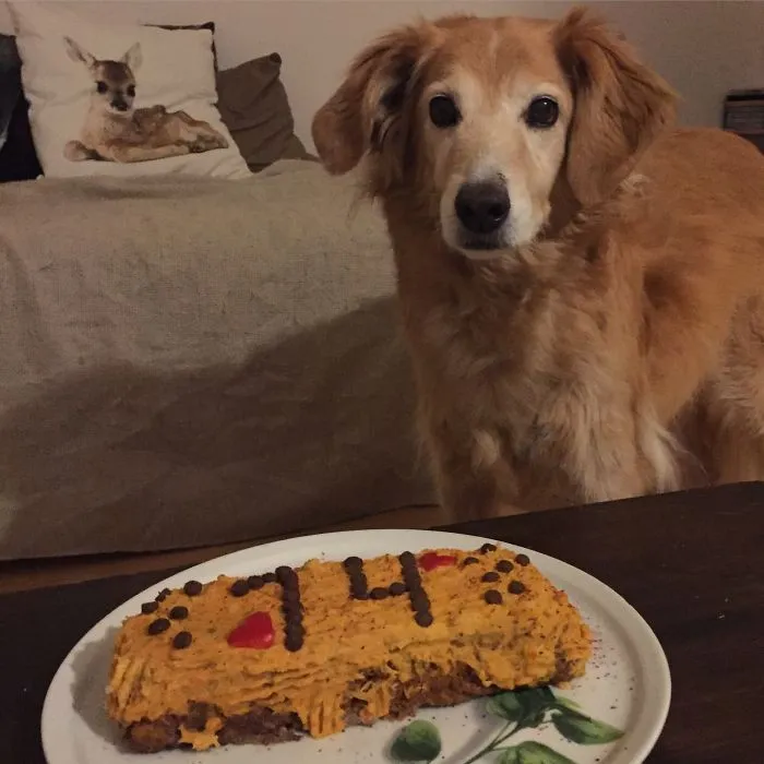 "may I Eat Now?"