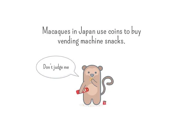 I Created Illustrations About Silly Animal Facts