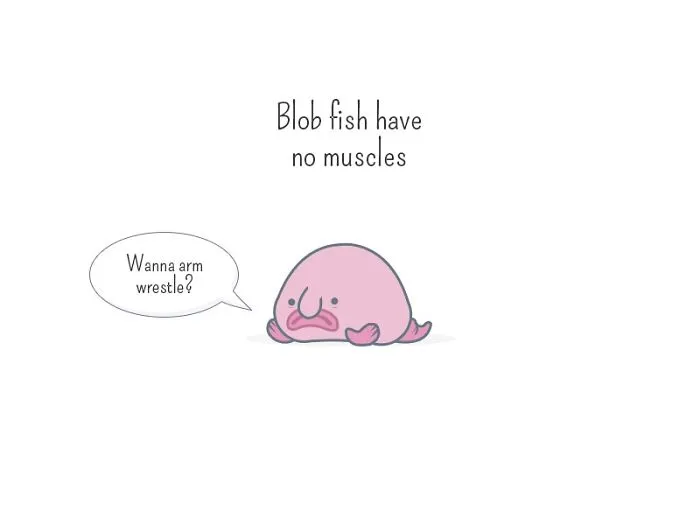 I Created Illustrations About Silly Animal Facts