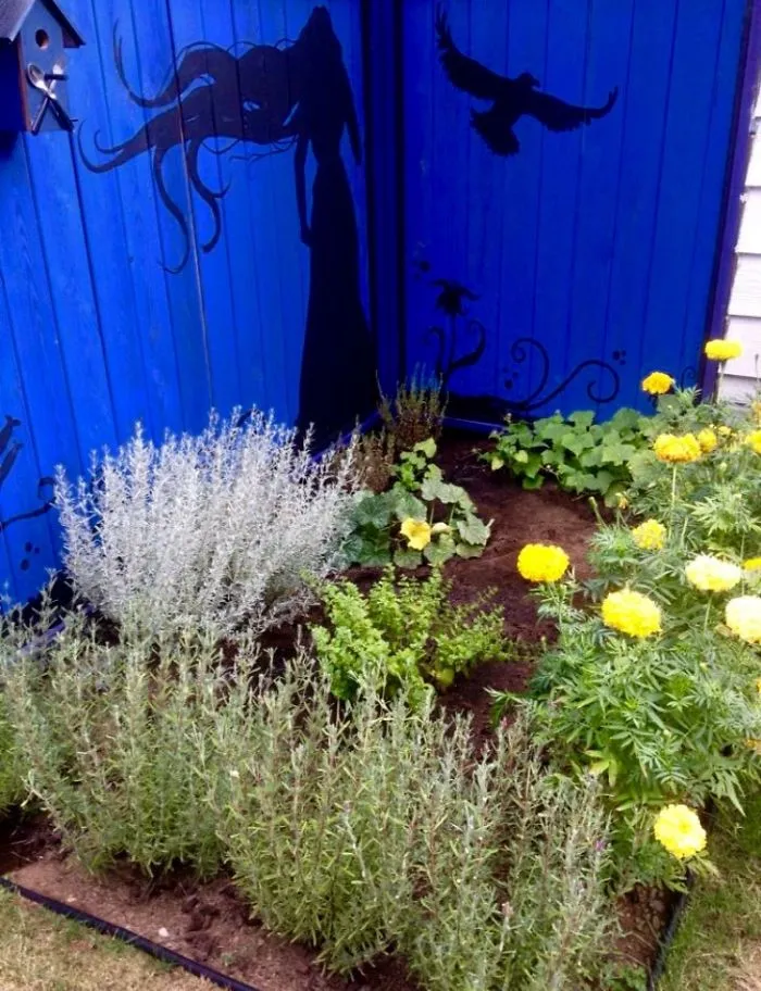 Bringing A Little Color To My Garden Throughout The Year.