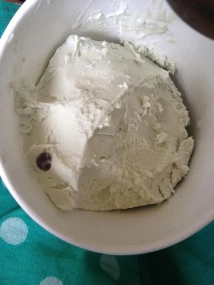 Nada Moo "lotta Mint Chip" Really Means One Chip