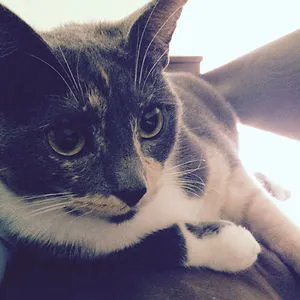 Luci Skye